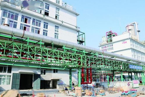 重大项目建设 进行时 二十二 ④