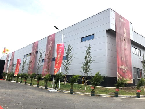 三峰木门超级智慧工厂落成启动仪式盛大举行
