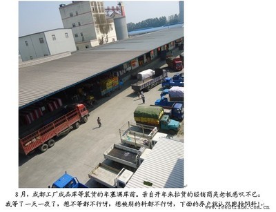 一马当先,双胞胎十月份销量持续走高!-中国饲料行业信息网