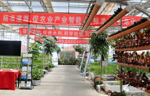 加快工厂化循环水养殖装备技术创新，助推水产养殖绿色高效发展